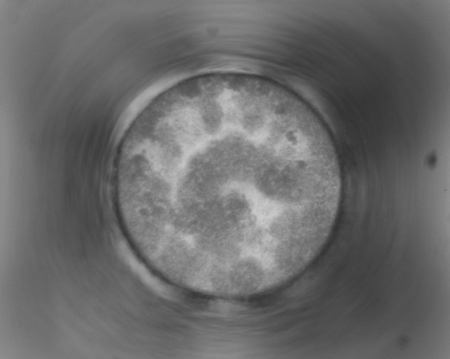 X0000115191379200911251410