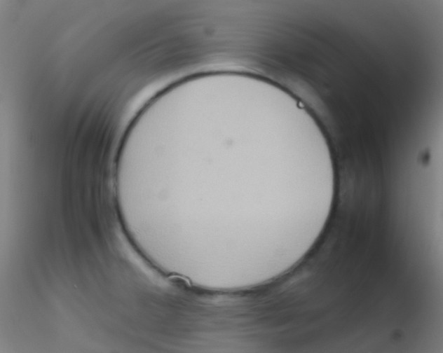 X0000115191380200911251410