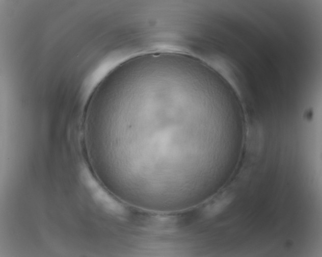 X0000115191381200911251410