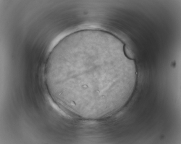 X0000115191382200911251410