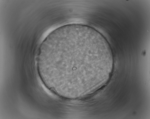 X0000115191383200911251410