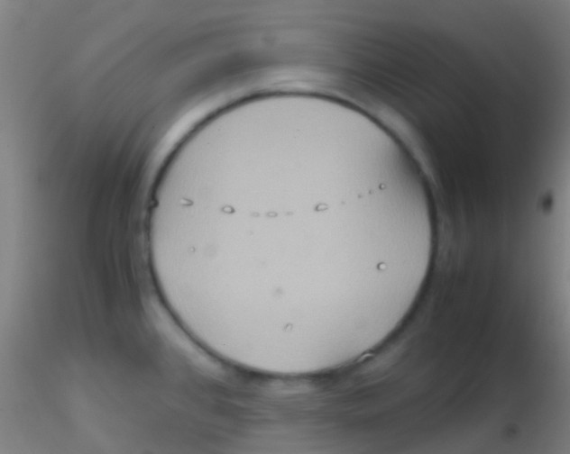 X0000115191384200911251410