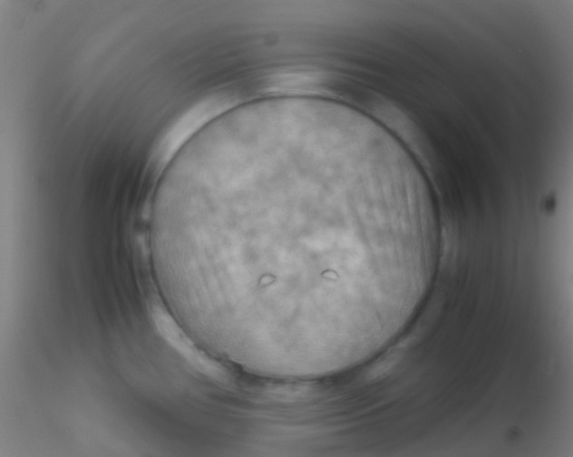 X0000115191386200911251410