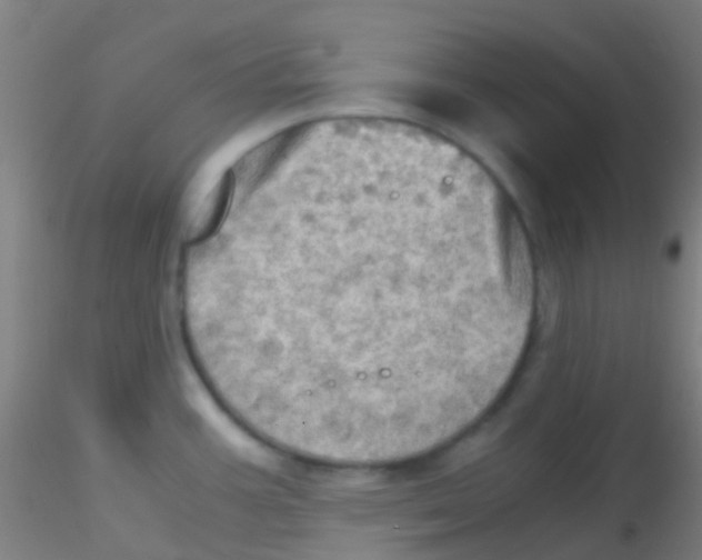 X0000115191387200911251410