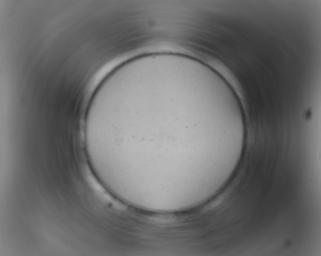 X0000115191388200911251410