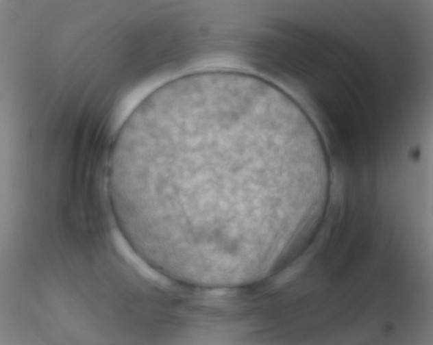 X0000115191390200911251410