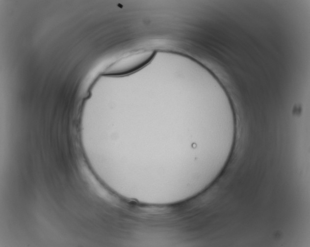 X0000115191392200911251410