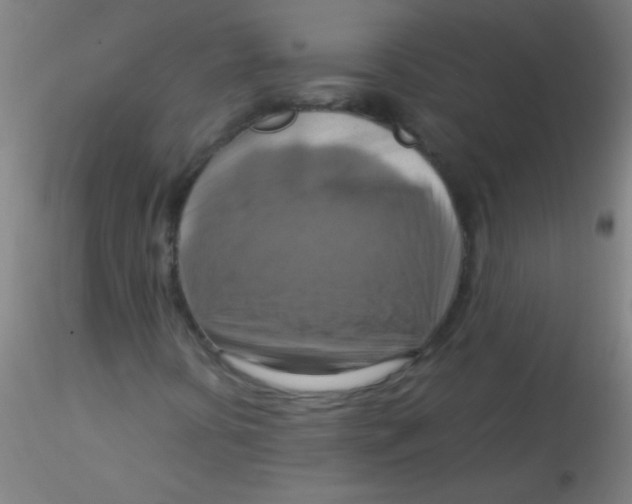 X0000115191394200911251409