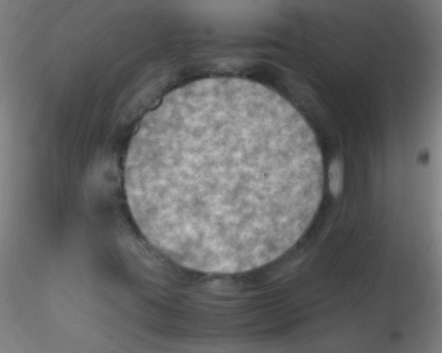 X0000115191395200911251409