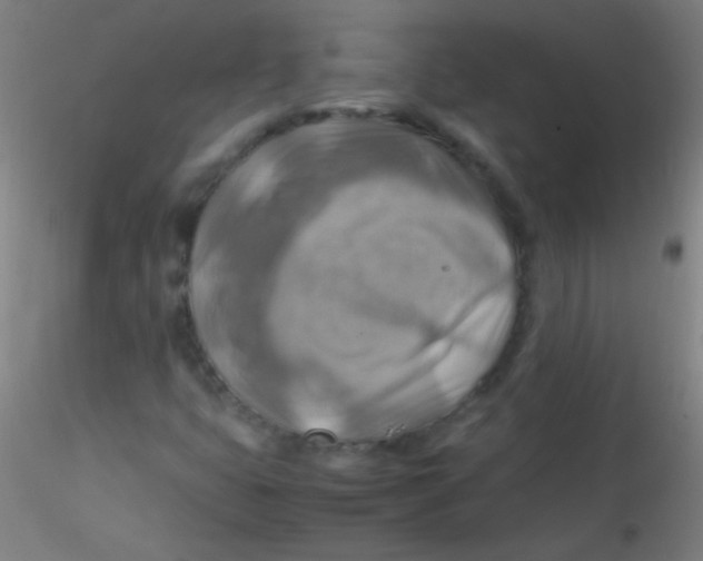 X0000115191399200911251409