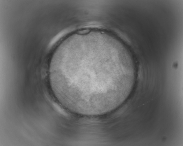 X0000115191400200911251409