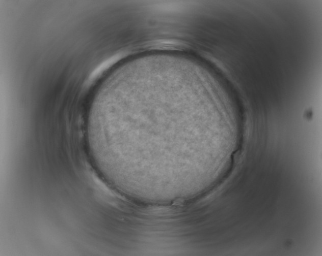 X0000115191402200911251409