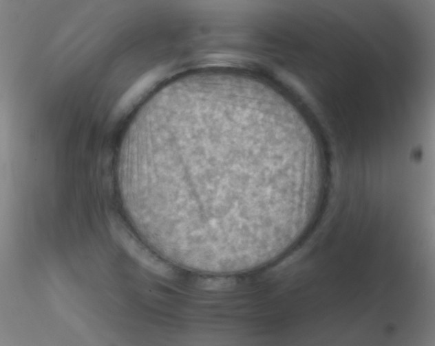 X0000115191403200911251409