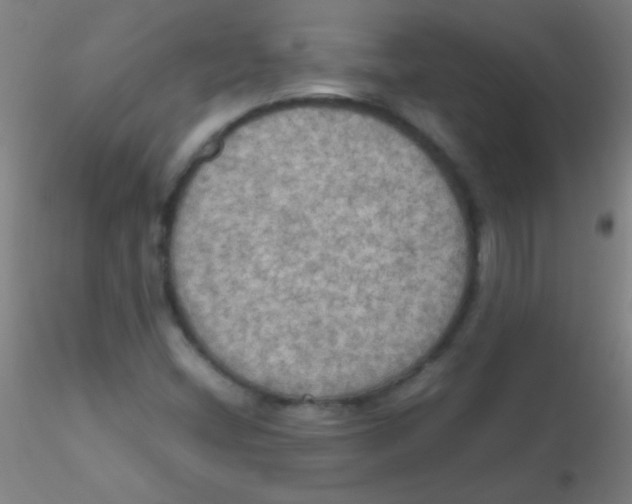 X0000115191404200911251409