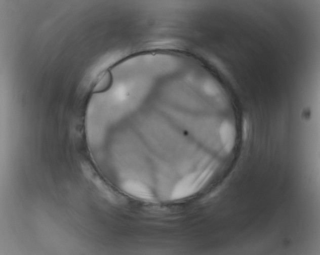 X0000115191405200911251409