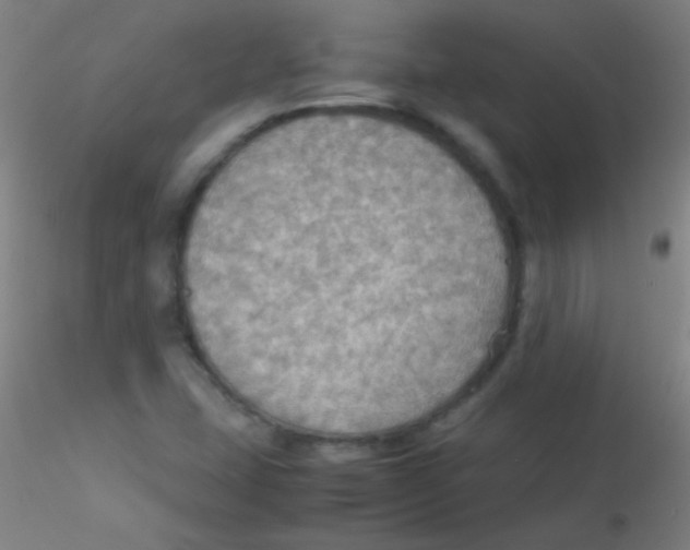 X0000115191407200911251409