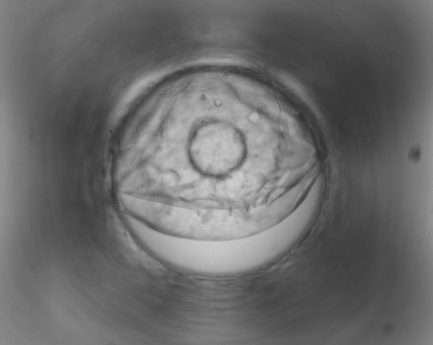 X0000115191408200911251409