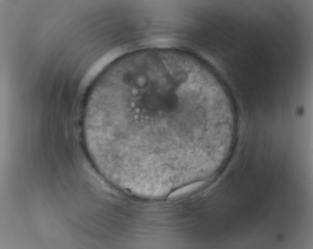 X0000115191410200911251409