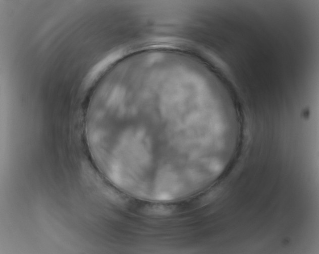 X0000115191411200911251409