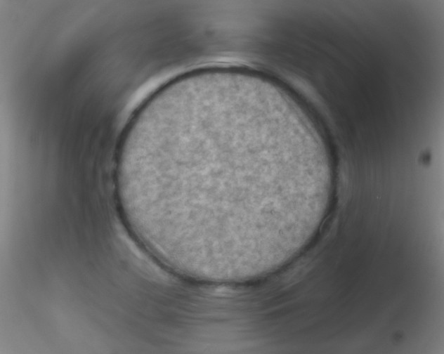 X0000115191412200911251409