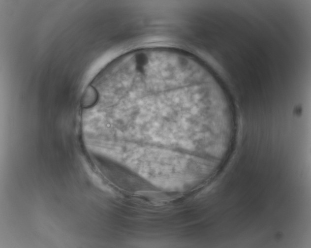 X0000115191413200911251409