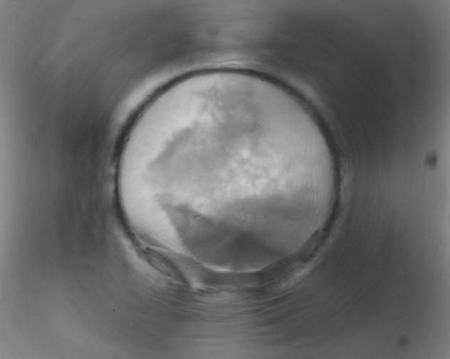 X0000115191414200911251409