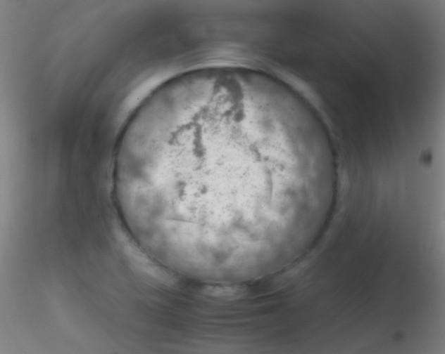 X0000115191415200911251409