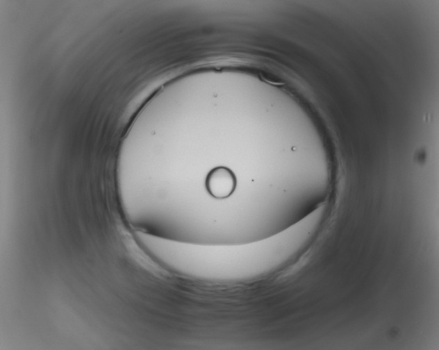 X0000115191417200911251409