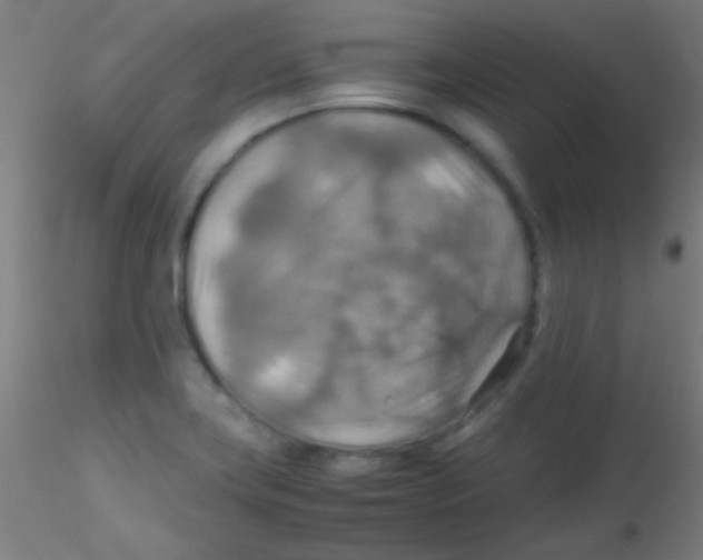 X0000115191419200911251409