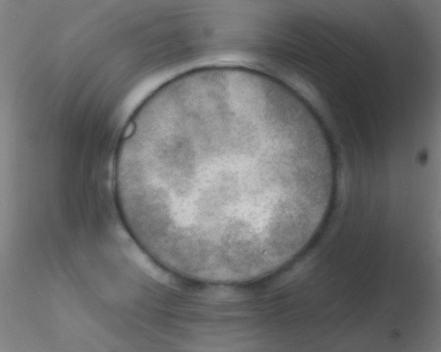 X0000115191420200911251409