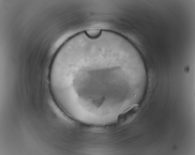 X0000115191422200911251409