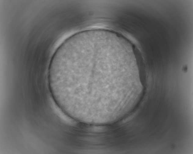 X0000115191423200911251409