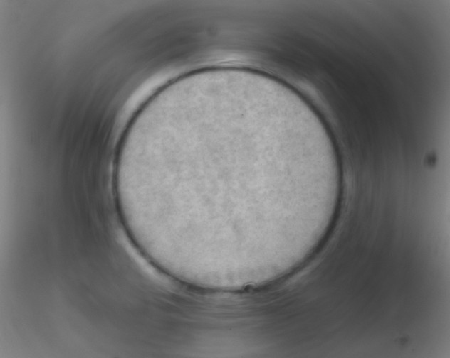 X0000115191424200911251409