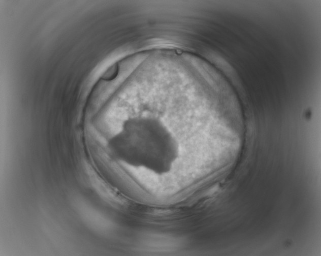 X0000115191427200911251409