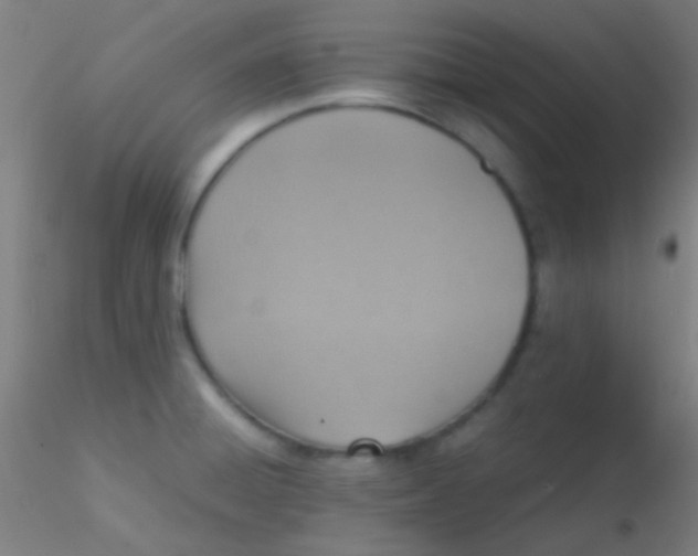 X0000115191428200911251409