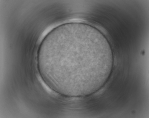 X0000115191430200911251409