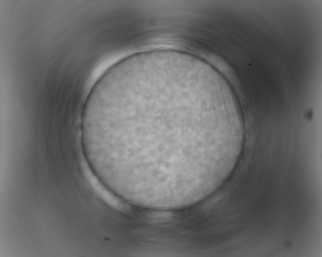 X0000115191431200911251409