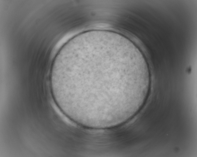 X0000115191432200911251409