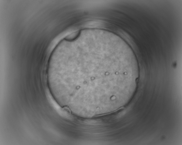 X0000115191434200911251409