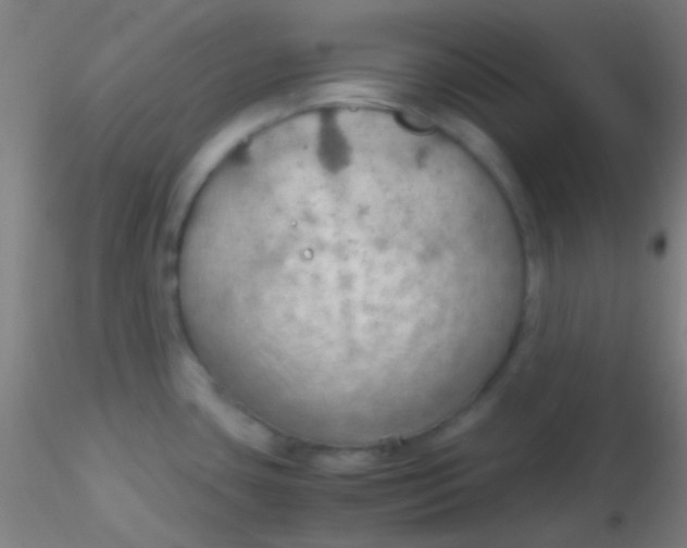 X0000115191435200911251410