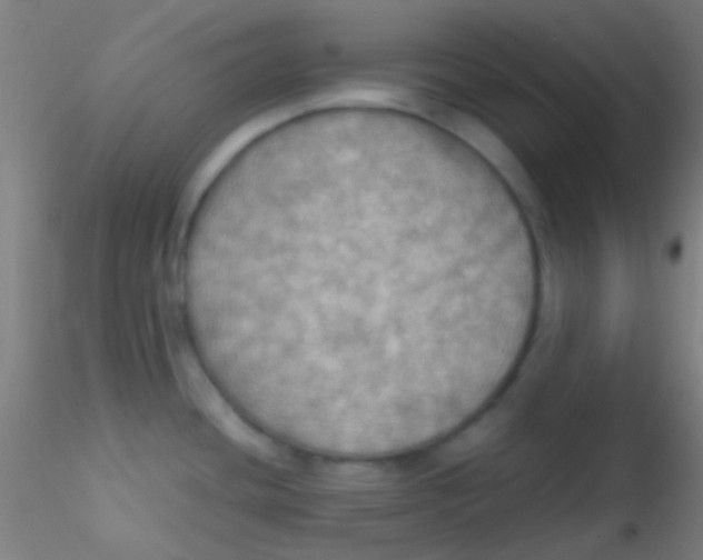 X0000115191436200911251410