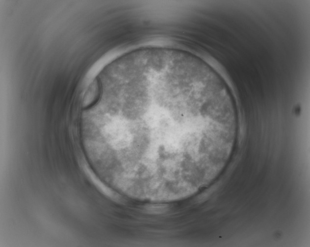 X0000115191437200911251410