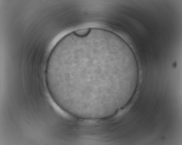 X0000115191438200911251410