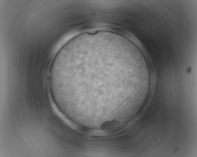 X0000115191439200911251410