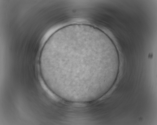 X0000115191440200911251410