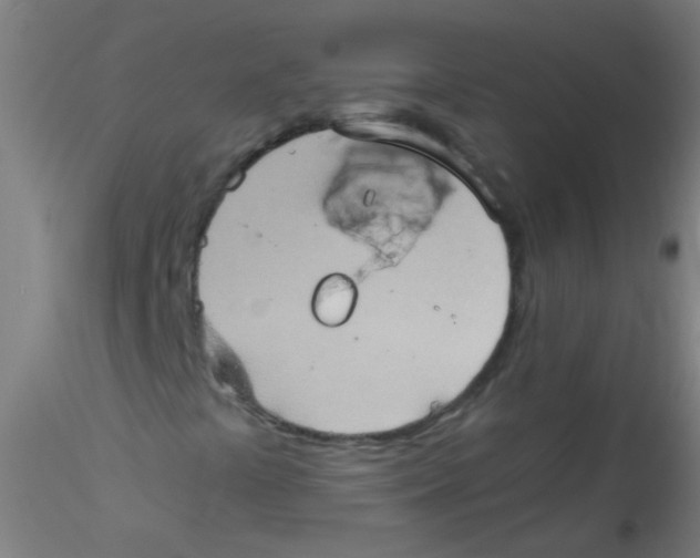 X0000115191441200911251409