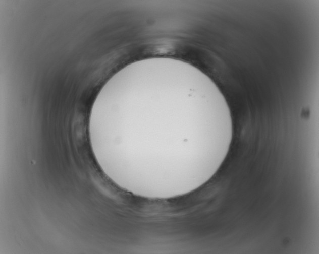 X0000115191442200911251409