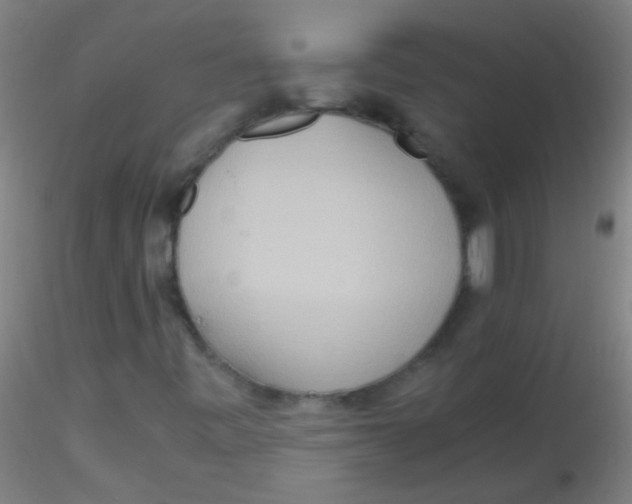 X0000115191443200911251409