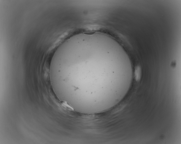 X0000115191444200911251409