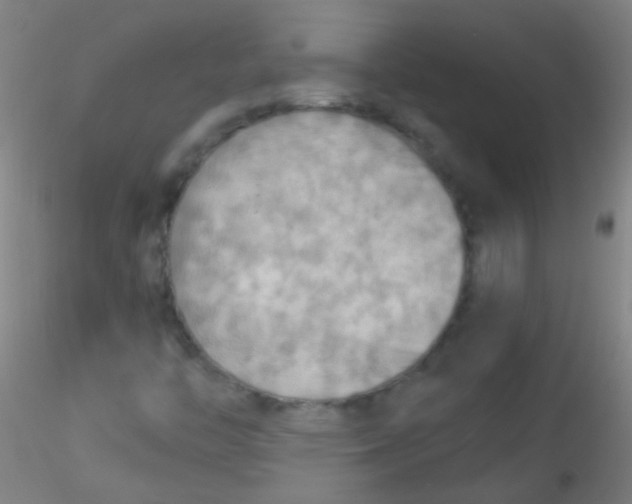 X0000115191446200911251409